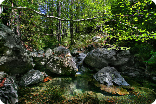 Big Sur Campground