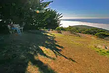 mMolera Loop wooden bench