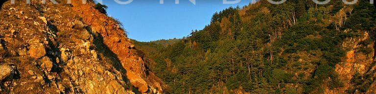 More Big Sur Information