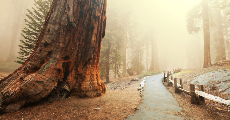 Best National Parks in California