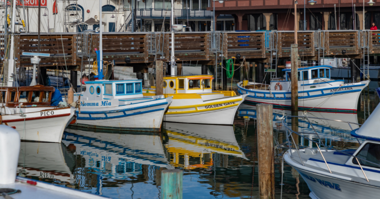 San Francisco boat tours 