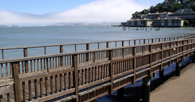 Sausalito + Muir Woods tours from San Francisco