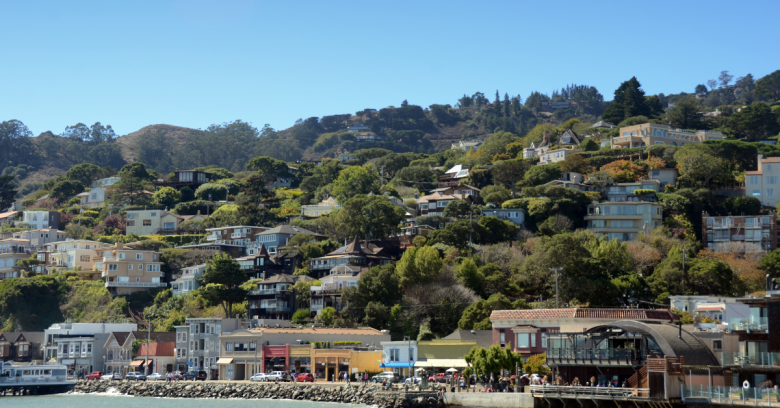 Sausalito and Muir Wodds Tour From San Francisco