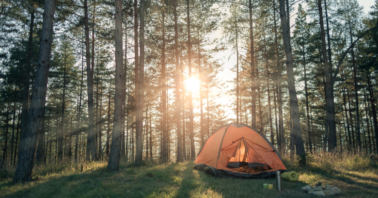 The Only Camping Checklist You’ll Ever Need