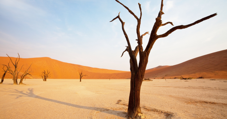 Death Valley - road trips from san francisco for nature