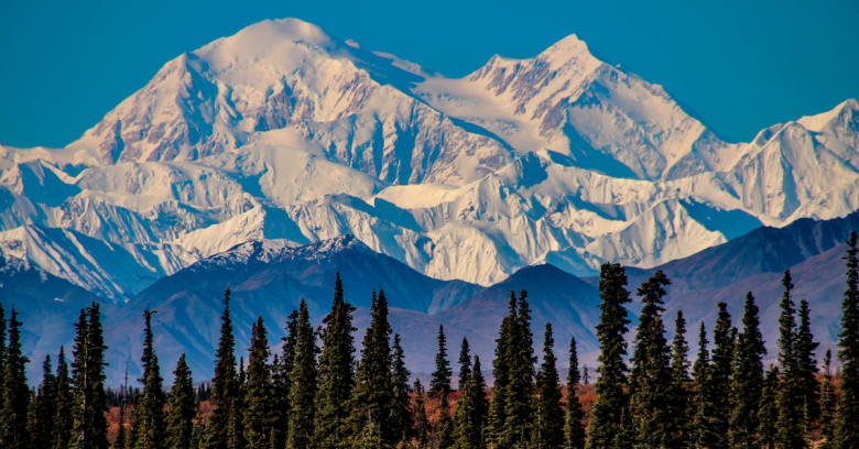 Denali National Park - Best Places To Visit In USA