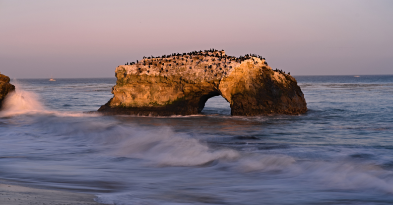 Natural Bridges State Beach - Best Beaches In California