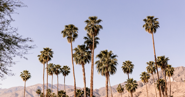 Palm Springs - Best Places To Visit In California