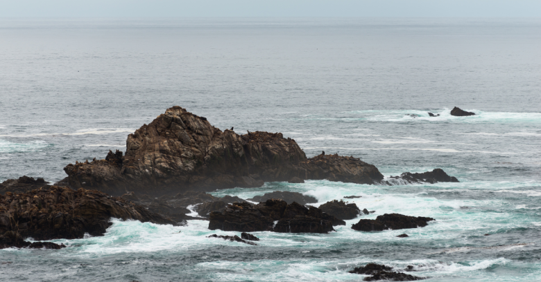 Point Lobos State Reserve - Best Beaches In California