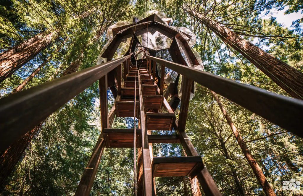 Pinecone treehouse