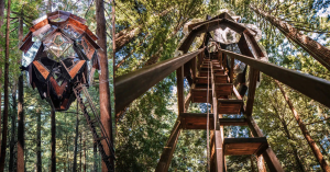 pinecone treehouse