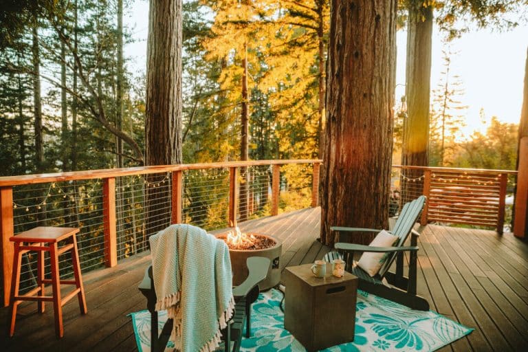 This Hidden California Treehouse Is So PERFECT It Looks FAKE (But It’s REAL)! 📸