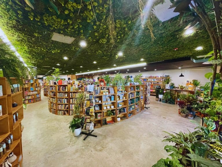 A Bibliophile’s Dream: The Hidden Gem Where Literature Meets Vinyl! 📚