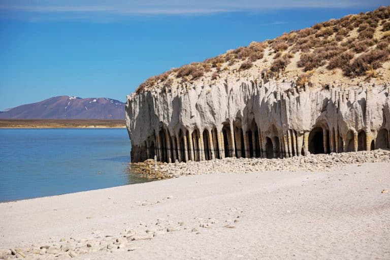 This OTHERWORLDLY Stone Forest Emerges From a California Lake Once a Year!