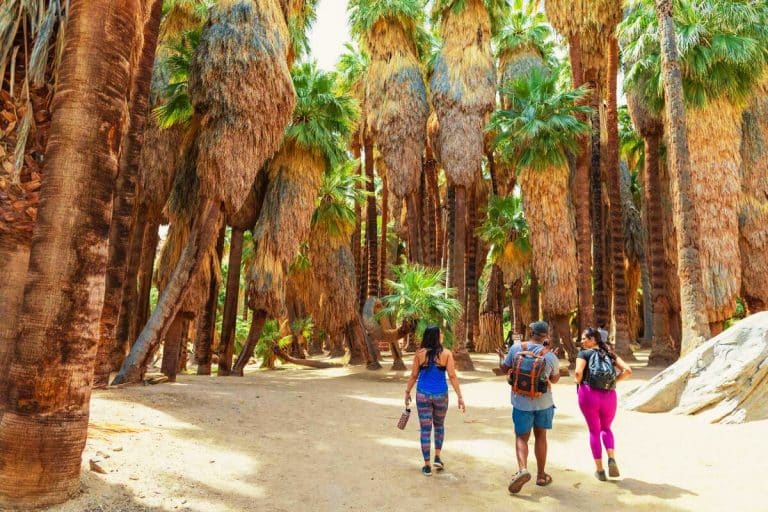 The California Oasis Where Native Americans Lived for 5,000 Years Straight