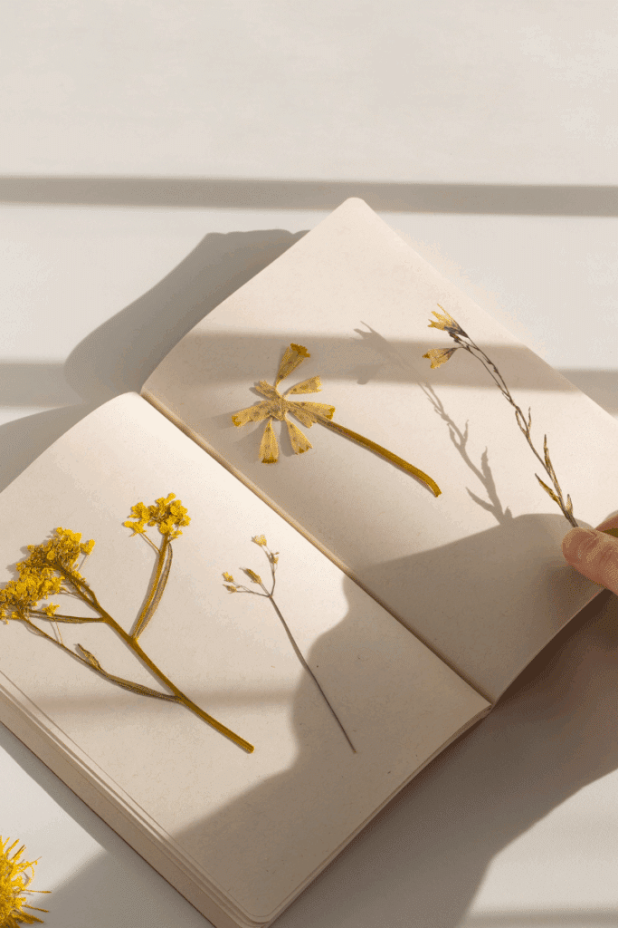 DIY Nature Journals