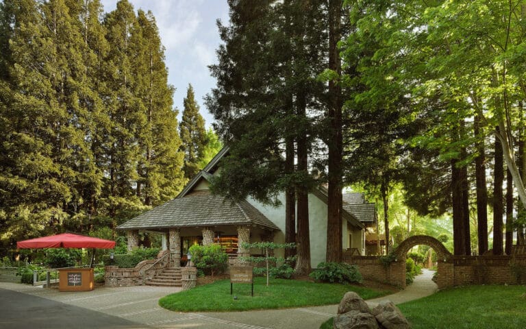This Enchanting Wine Country Retreat Feels Like a Fairytale Hidden in the Redwoods