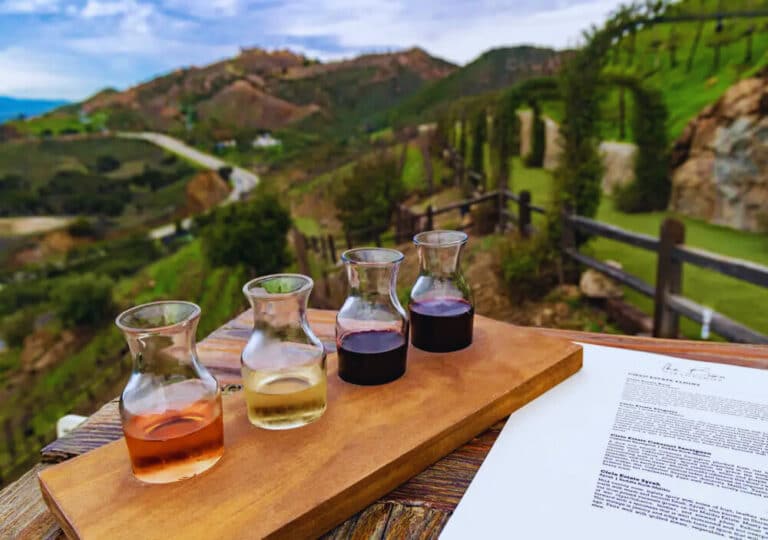 Beyond the Beach House: Malibu’s Best-Kept Wine Secret Hidden in the Hills
