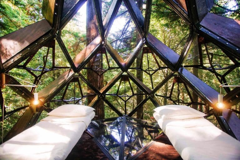 This Glass Treehouse in the Woods Is the Adult Version of Your Childhood Dreams