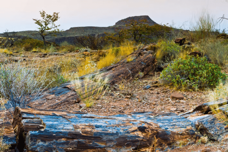 Millions of Years in the Making—This Geological Wonder Feels Like Another Planet
