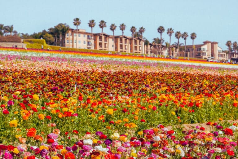 This EPIC Spring-Only Floral Paradise Will Make Your Instagram EXPLODE With Color! 💥🌺