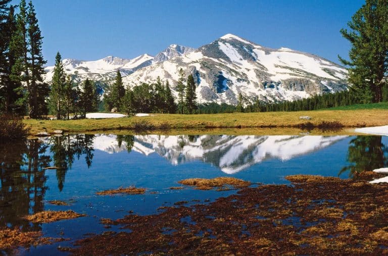 You Won’t Believe This Exists in California—A Landscape So Stunning It Looks Photoshopped