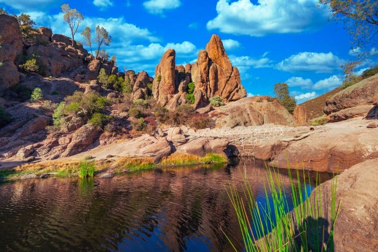 You Won’t BELIEVE This Hidden Gem Is Only Hours From San Francisco (Hint: It Has Rare Birds And Secret Caves!)