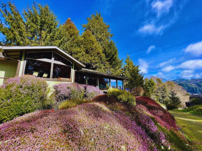 The Most Soul-Nourishing Stay In California Has Fresh Pastries And A Secret View