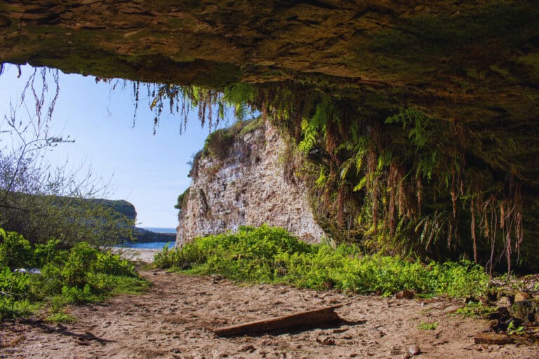 This Secret Beach Combines Jungle Vibes With Ocean Views and We’re Obsessed