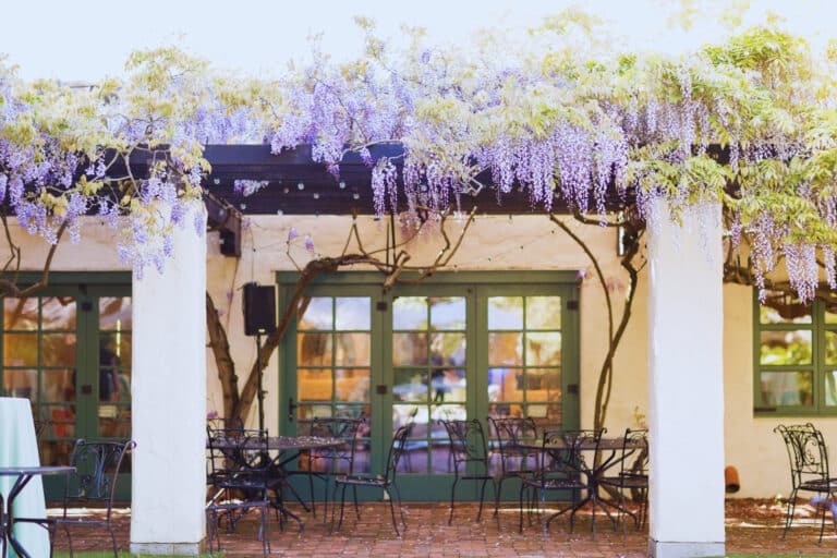 This Magical Courtyard Café Near Stanford Is Straight Out Of A Fairytale