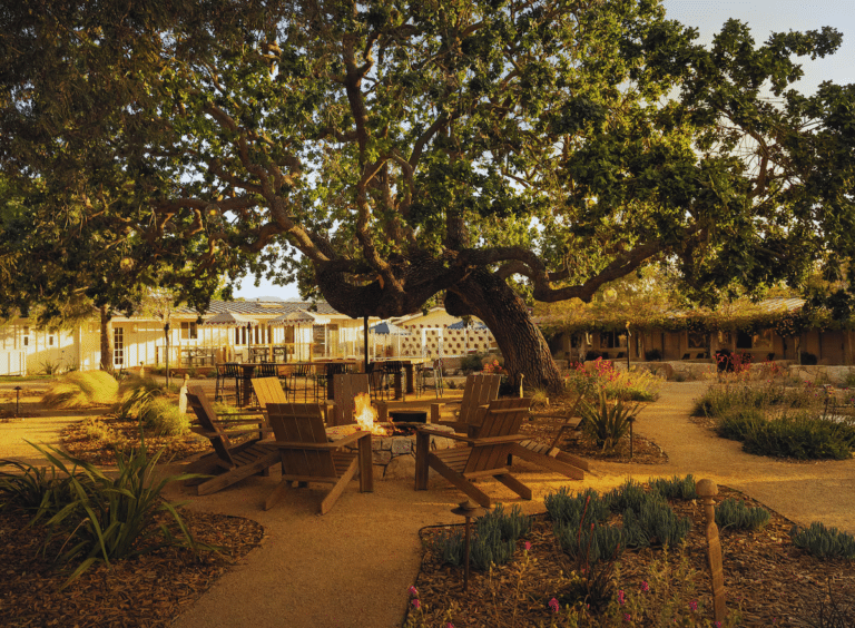 The Boutique Wine Country Retreat Where Every Room Has Its Own Hammock