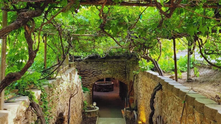 How One Immigrant Hand-Carved 65 Underground Rooms in Fresno