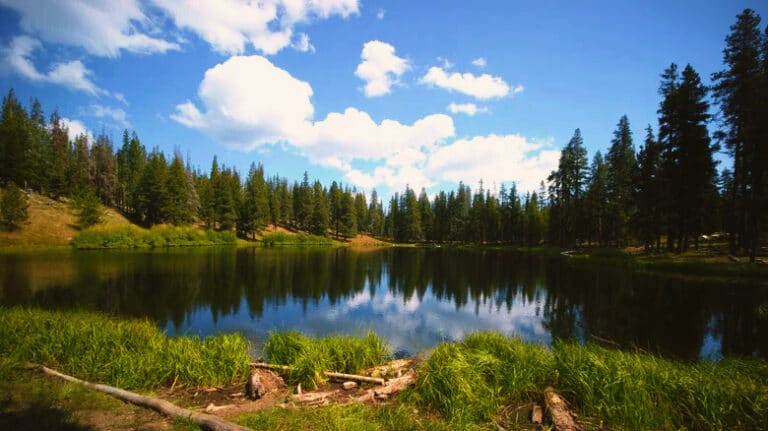 California’s Newest Protected Landscape Has Ancient Rock Art and No Instagram Crowds (Yet)