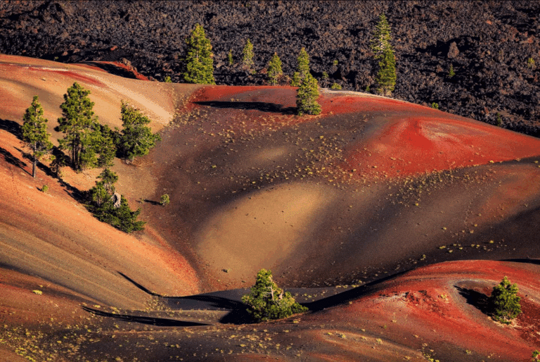 The Hidden California Wonder That’s More Colorful Than Any Theme Park