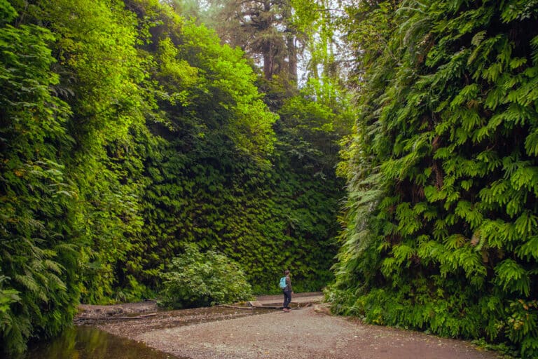 The Real Canyon Behind Every ‘Lost World’ Movie You’ve Ever Seen