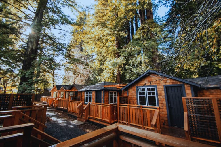 The Magical Grove Where You Sleep Among California’s Oldest Residents!
