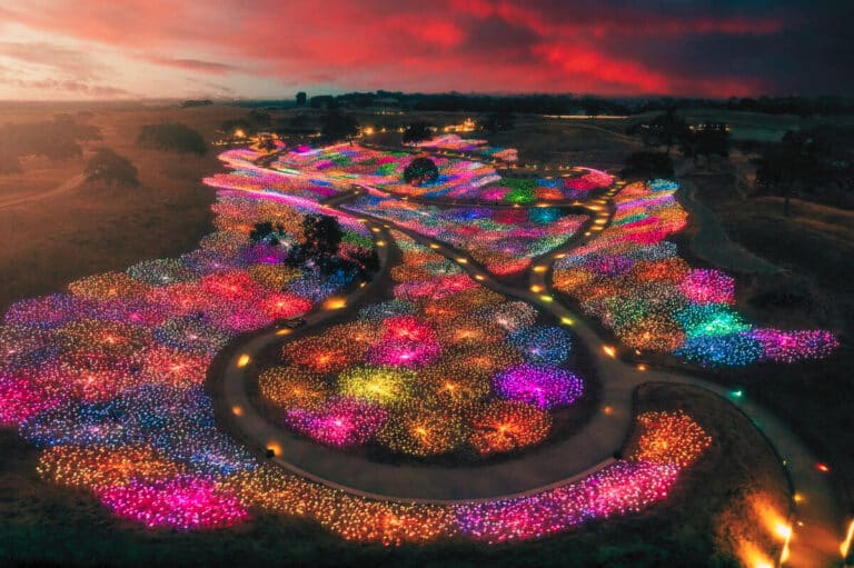 Walk Through Stars: The Most Instagram-Worthy Spot in California!