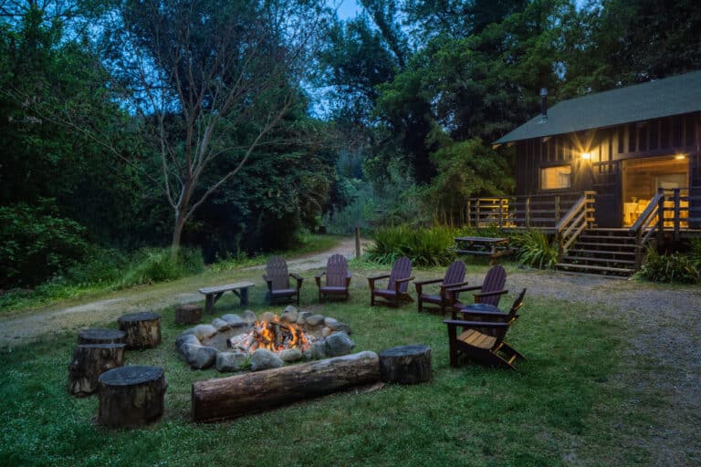 Luxury Among the Redwoods: The Hidden Gem That Actually Fits Your Budget