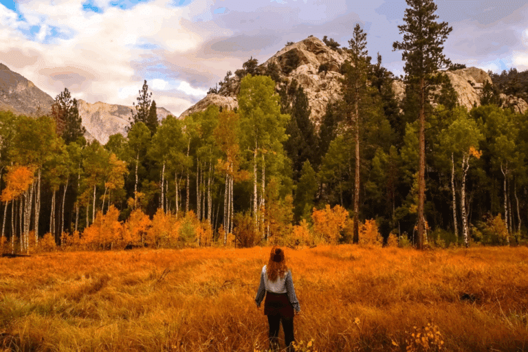10 Fall Foliage Gems That Smart Travelers Hit Before the Crowds Arrive