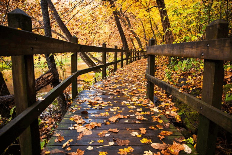 8 Budget-Friendly U.S. Getaways to Book Before Fall Prices Go Crazy