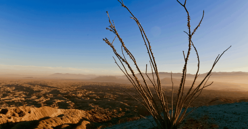 Anza-Borrego Desert State Park