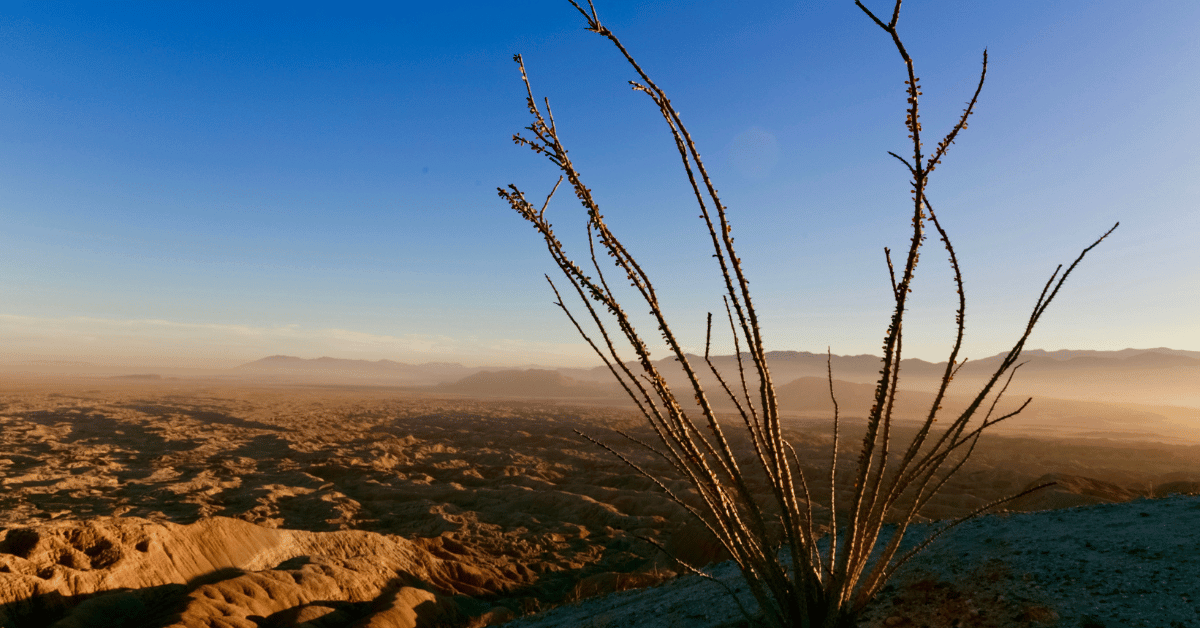 Anza-Borrego Desert State Park