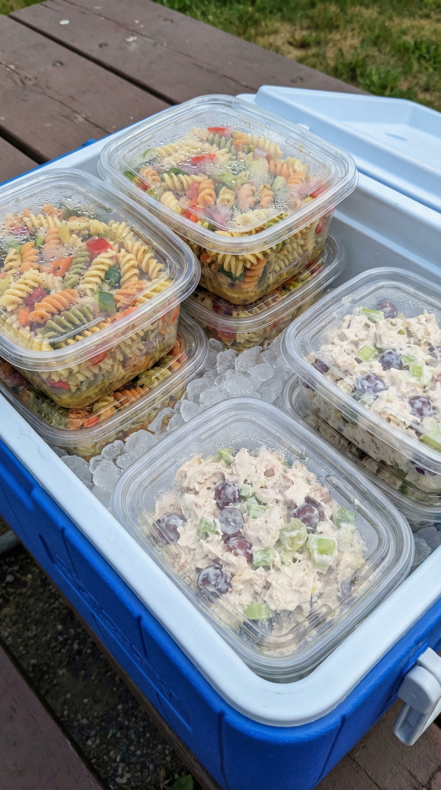 9. Cooler Meals — Pasta Salad and Chicken Salad